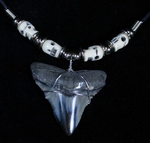 Polished Megalodon Tooth Necklace #3379